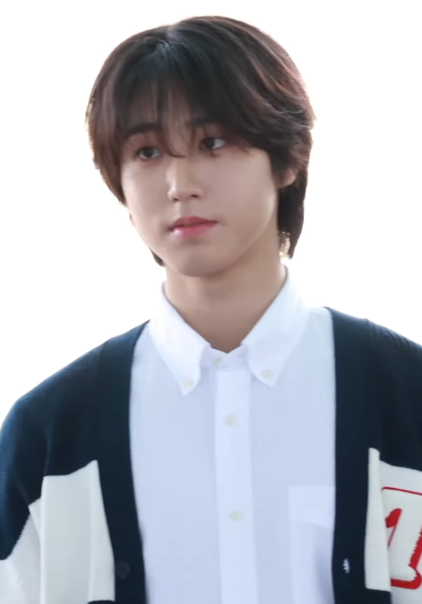 アイドル Stray Kids han Stray Kids(스트레이 키즈) 